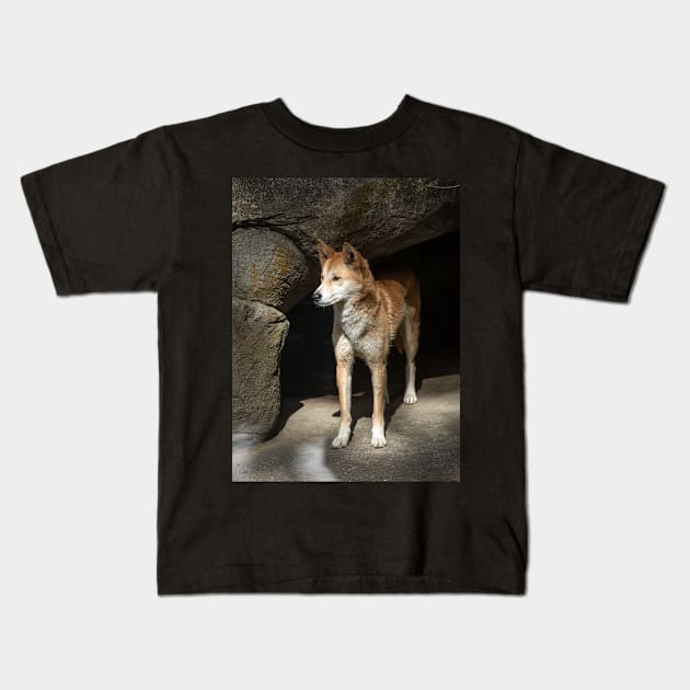 Dingo: Australian Native Dog Kids T-Shirt by AndrewGoodall